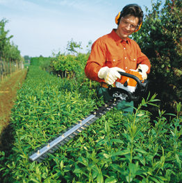 Hedge Trimming Johns Wood